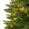 6ft. Pre-Lit Sun Valley Fir Artificial Christmas Tree, Clear LED Lights